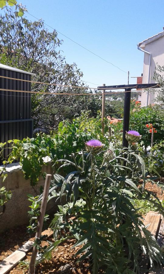 فندق House Krk كرك المظهر الخارجي الصورة